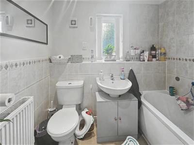 Picture 7